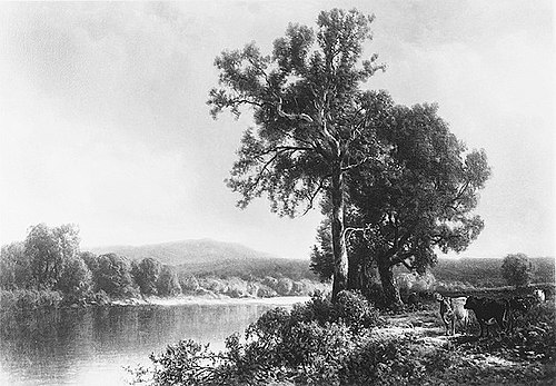 Scene at Napanoch, 1883, William Hart
