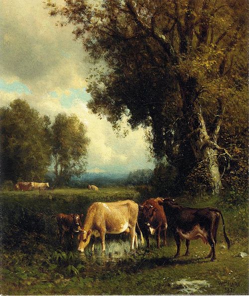 Cows in the Meadow, 1878, William Hart