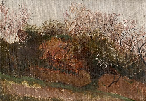 Study of Nature in Spring, 1900, László Mednyánszky