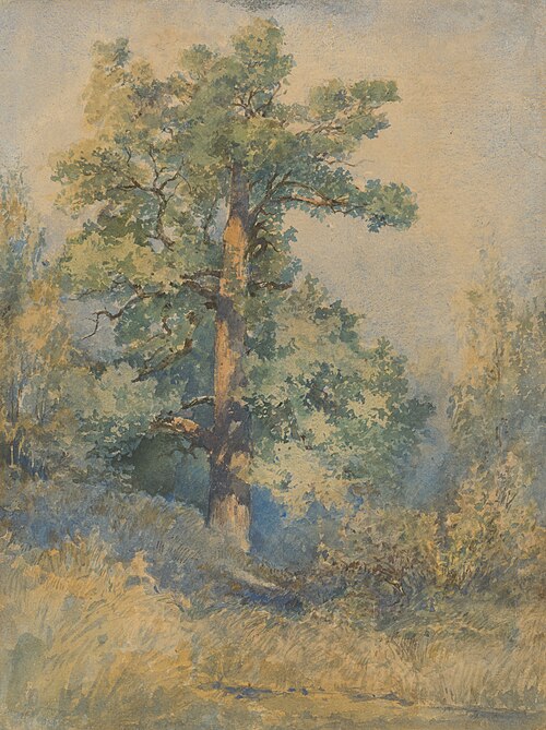 Sketch of a Tree, 1872, László Mednyánszky