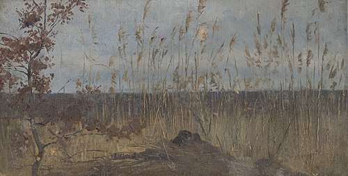 Štúdia krajiny v okolí močariska, 1890, László Mednyánszky