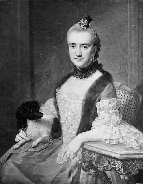 Portrait of Freifrau von Münchhausen, 1753, Johann Georg Ziesenis