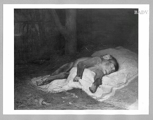 Schlafender Affe, schmerzvergessen, 1885, Gabriel von Max