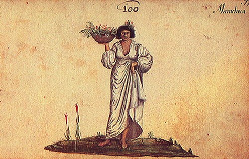 Mameluca, 1641, Zacharias Wagner