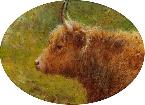 Study of a Highland Cow, 1915, Louis Bosworth Hurt