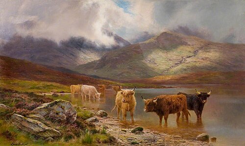 Highland Cattle, , Louis Bosworth Hurt