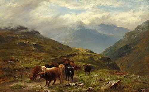 Highland Cattle, a Mountain Road, near Ballachulish, Argyll, , Louis Bosworth Hurt