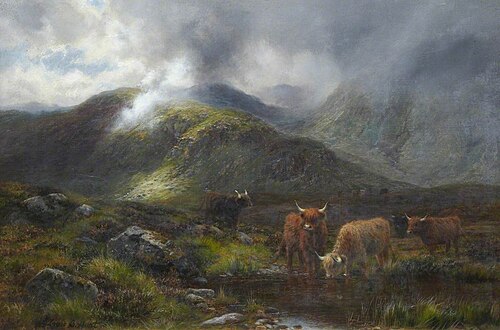 Highland Cattle, , Louis Bosworth Hurt