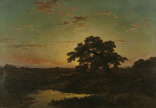 Heath Landscape at Sunset, 1851, Louwrens Hanedoes