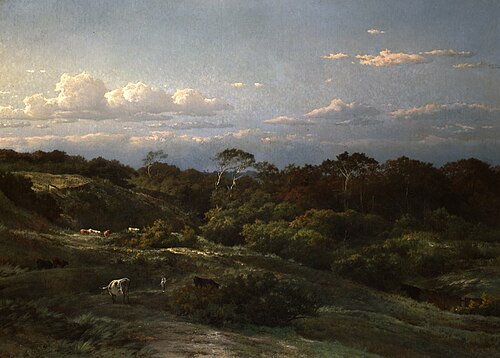 De Haarlemse duinen, 1863, Louwrens Hanedoes