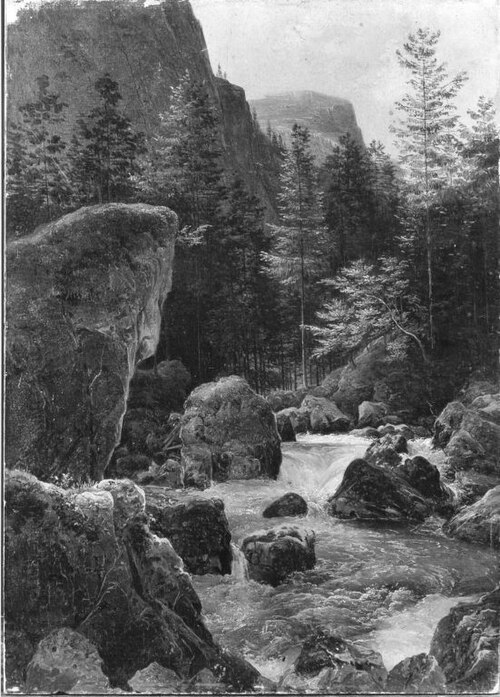 Waldbach Strubb bei Hallstatt, 1830, Friedrich Gauermann