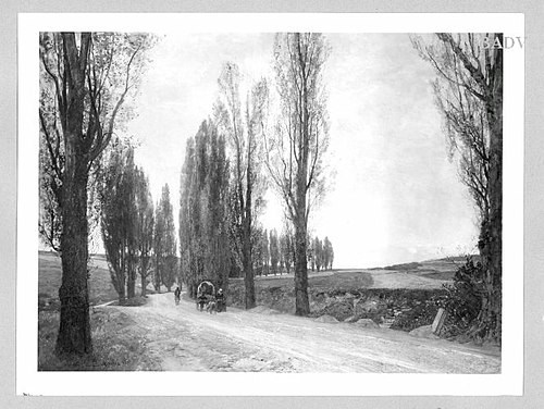 Poplar - allee, 1892, Emil Jakob Schindler