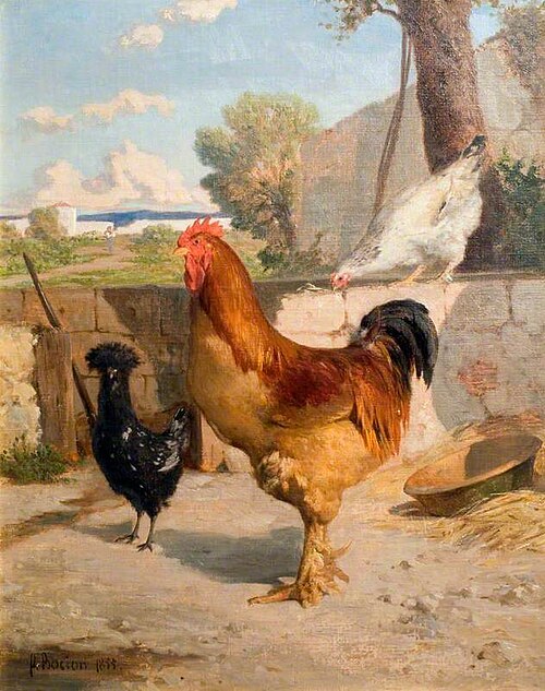 Poultry, 1855, François Bocion