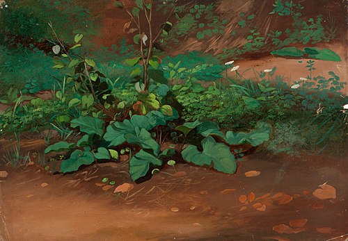 Landscape, Study, , Nils Blommér