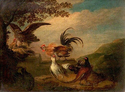 Hawk Attacking Chickens, , Marmaduke Cradock