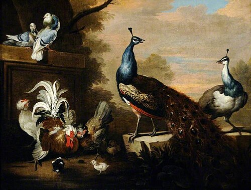 Peacocks and Poultry, , Marmaduke Cradock