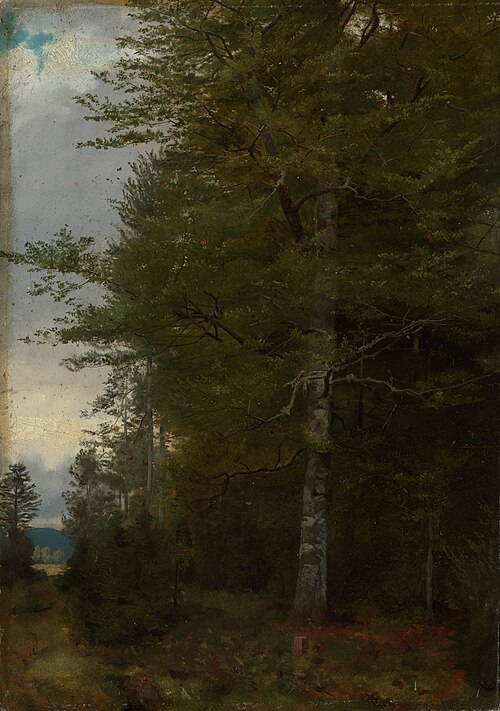 Beech at the forest edge, 1861, Hans Thoma