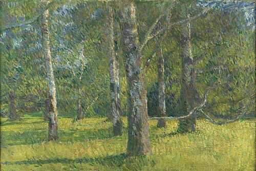 Birches in Laxenburg, 1909, Matija Jama