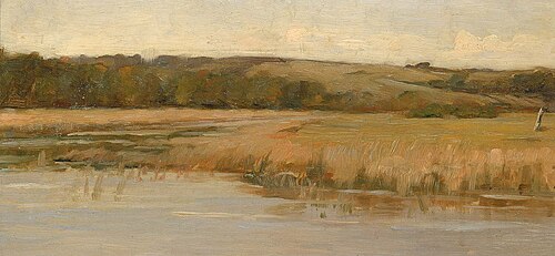 Hill and Marshland, 1875, Max Weyl