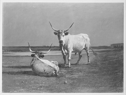 Zwei Rinder in der Puszta, 1904, Sándor Wagner