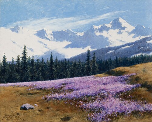 Crocuses with Snowy Mountains Behind, 1897, Stanisław Witkiewicz
