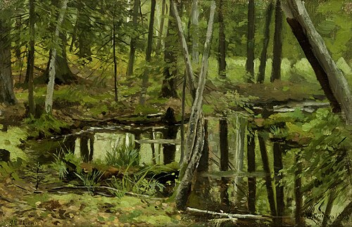 Pond in the Forest, 1895, Stanisław Witkiewicz