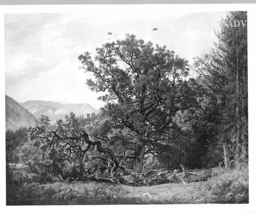 Landscape with oaktrees, 1842, Jakob Alt