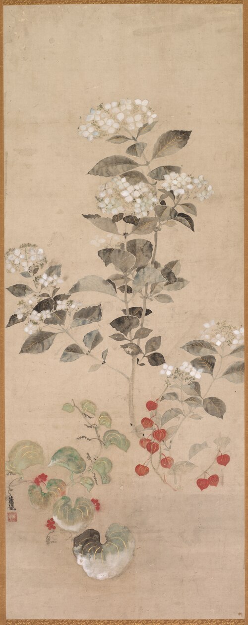 Summer Flowers, 1650, Kitagawa Sōsetsu