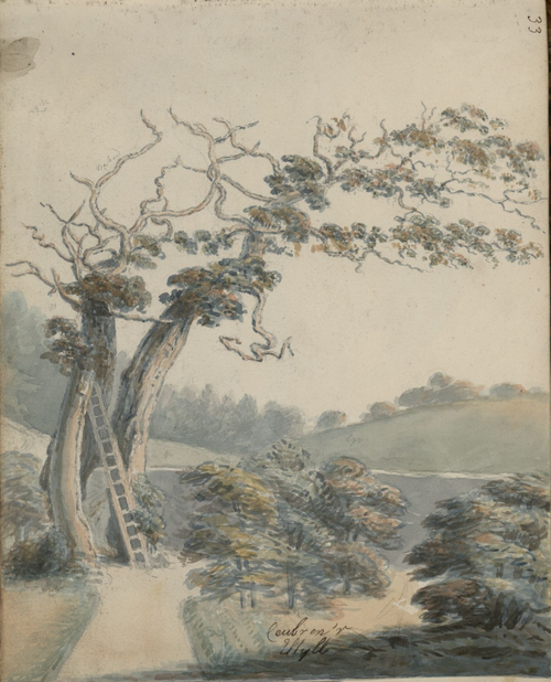 Caubren'r Ellyll, 1805, Moses Griffith