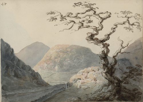 Dinas Emrys, 1805, Moses Griffith