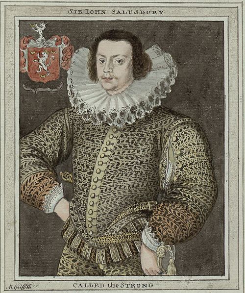Sir John Salisbury by Moses Griffith, , Moses Griffith