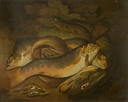 Fish, 1802, Moses Haughton the elder