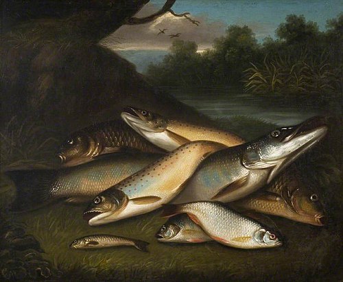 Fish, 1785, Moses, the younger Haughton