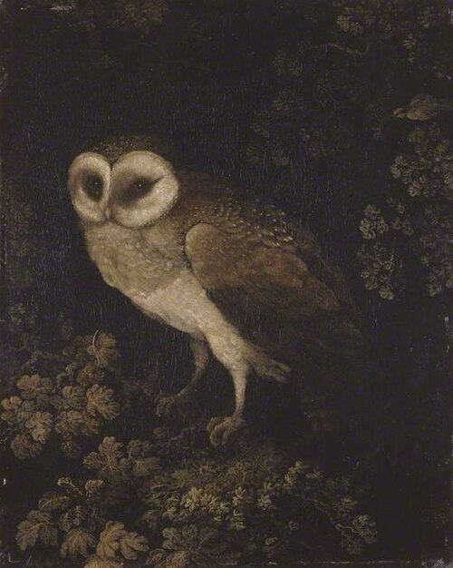 An Owl, 1785, Moses, the younger Haughton