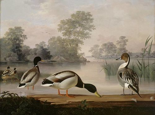 Ducks, 1853, Magnus von Wright