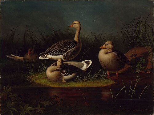 En grupp grågäss, kopia efter F. von Wright, 1866, Magnus von Wright