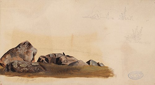 Stenstudie på Stora Lövön i Esbo, 1865, Magnus von Wright