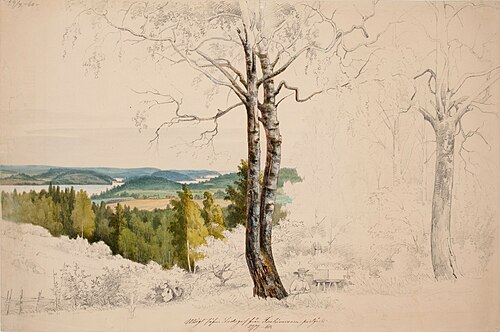 Utsikt över Ladoga från Jakimvaara prästgård ; halvfärdig, 1860, Magnus von Wright