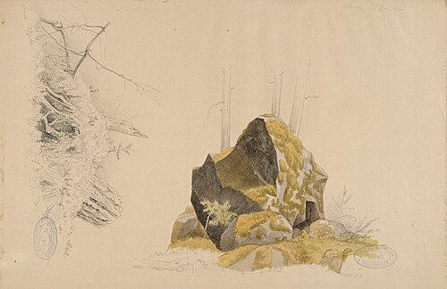 Sammaloitunut kivi ja vanha kanto, kaksi harjoitelmaa, 1864, Magnus von Wright