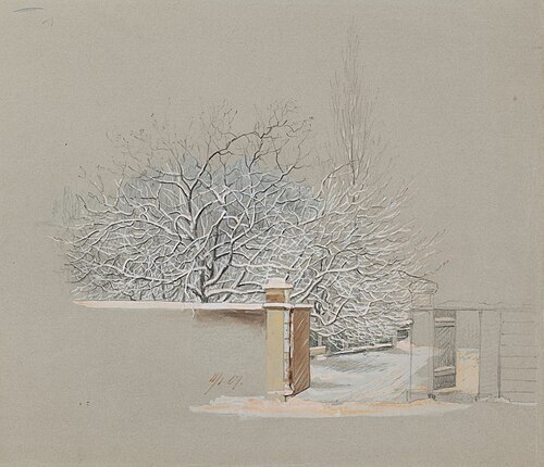 Snörika träd på gården Annegatan 15, 1867, Magnus von Wright