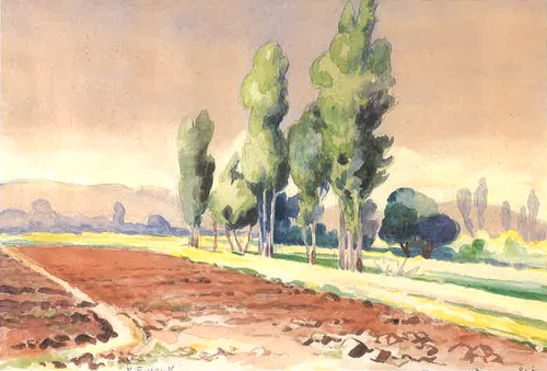 A View From the Bekaa, , Moustafa Farroukh