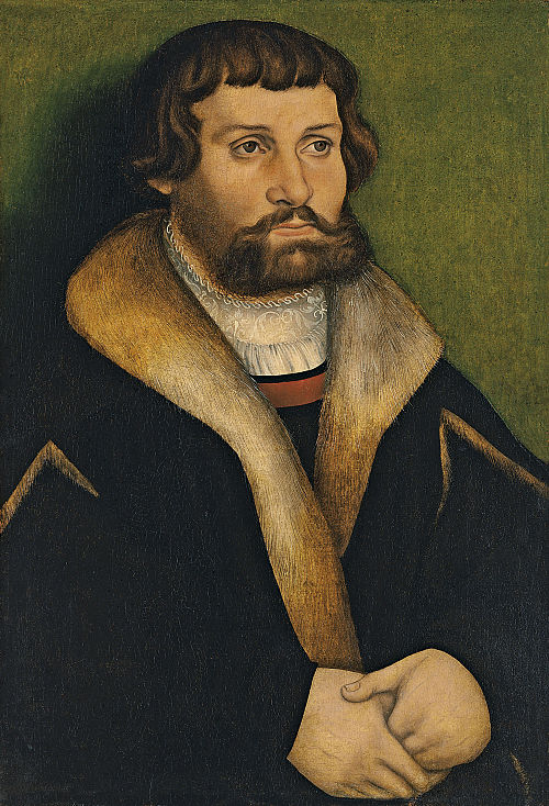 Portrait d'un homme barbu, 1534, Hans Cranach