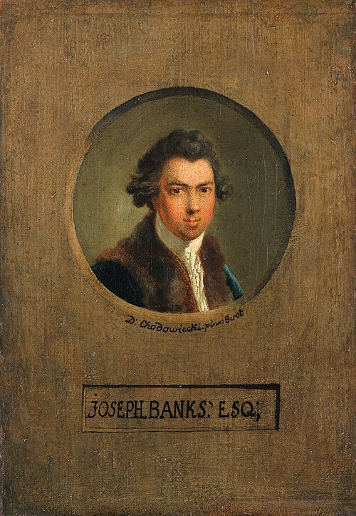 The Botanist Joseph Banks, 1780, Daniel Chodowiecki
