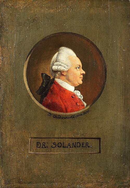 The Botanist Dr. Daniel Carlsson Solander (1733-1782), 1780, Daniel Chodowiecki