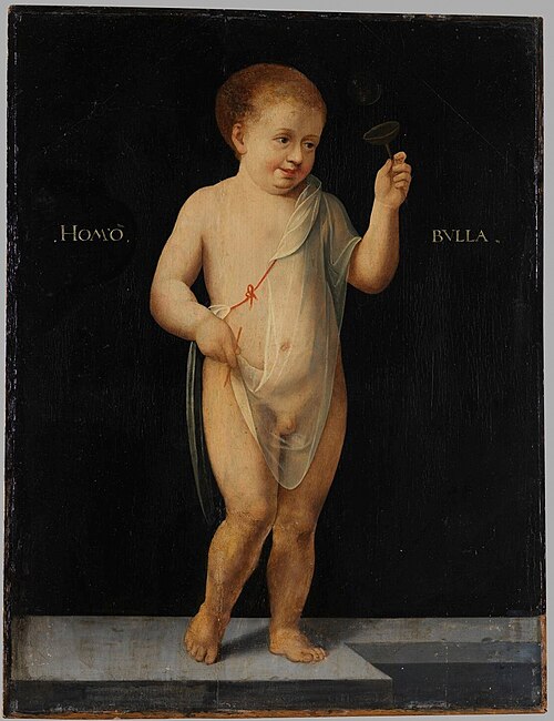 Homo Bulla, 1532, Bartholomaeus Bruyn le Vieux