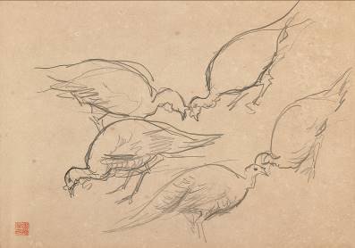Turkeys, , Li Mei-shu