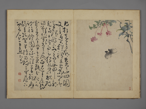 黄慎花卉图册, , Huang Shen