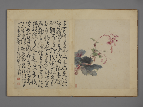 黄慎花卉图册, , Huang Shen