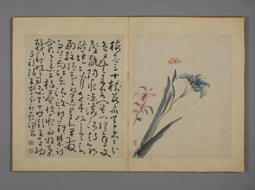 黄慎花卉图册, , Huang Shen
