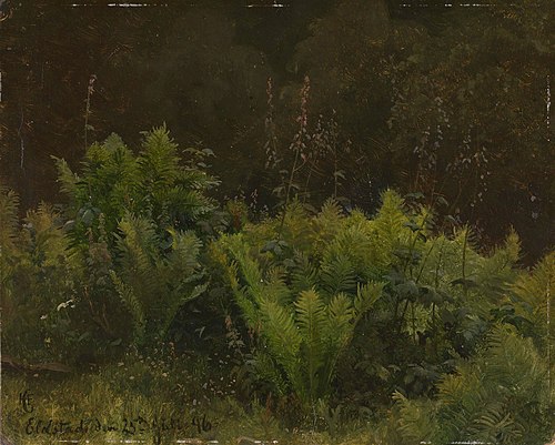 Study of Ferns, 1846, Hans Fredrik Gude